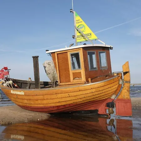 Phoenix 04 * Heringsdorf (Usedom)